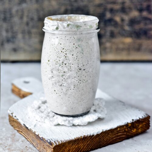 bubbly active sourdough starter